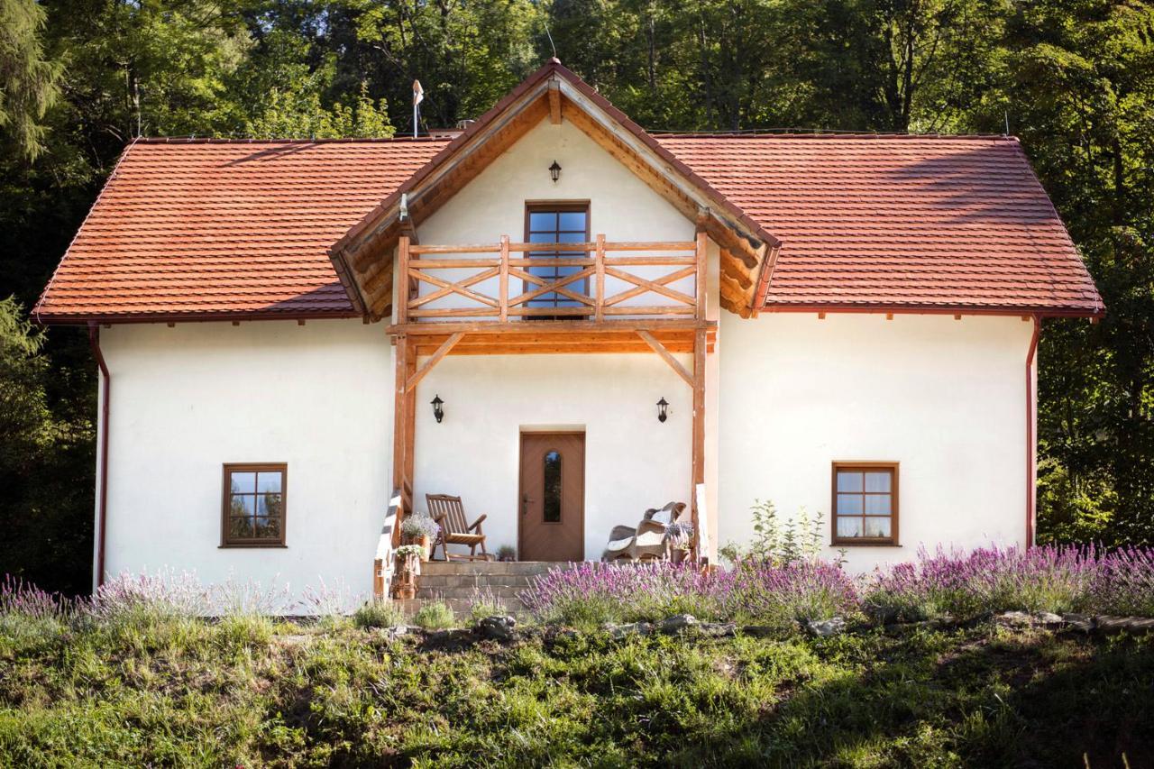 Pensjonat Pod Gora Karczmisko Konradow  Exterior photo