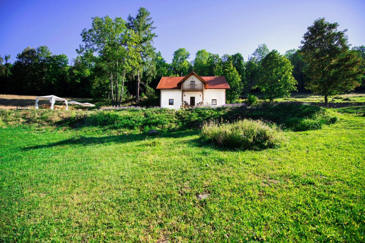 Pensjonat Pod Gora Karczmisko Konradow  Exterior photo