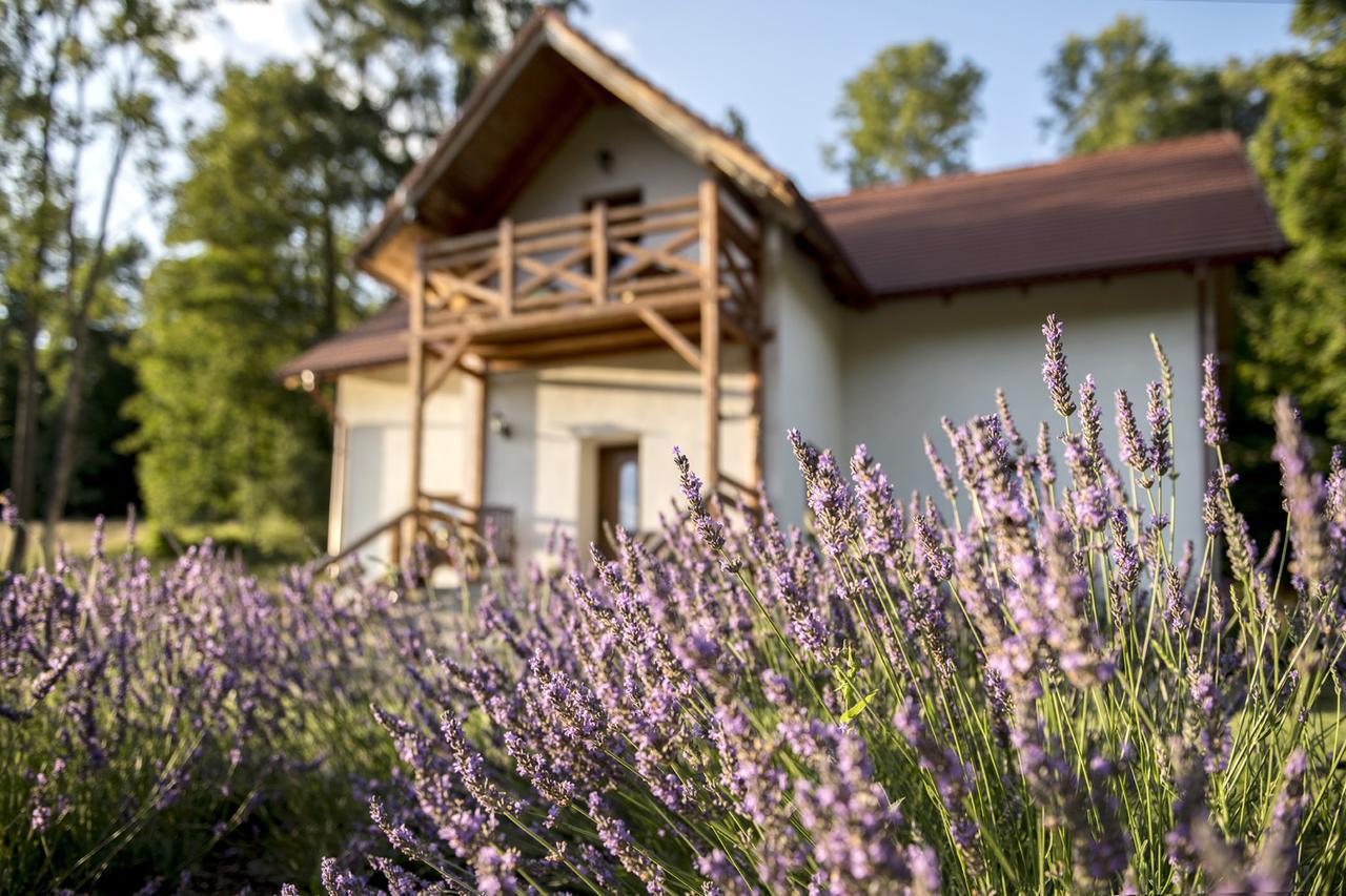 Pensjonat Pod Gora Karczmisko Konradow  Exterior photo